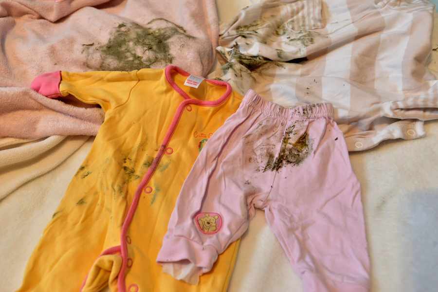 Доступные способы удаления плесени с одежды